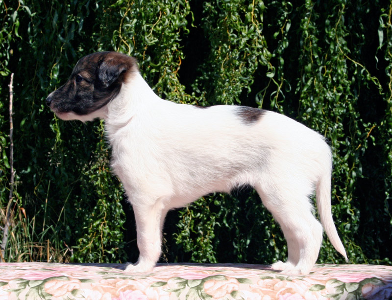 Surf Spots - Girl 1 Left